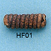 tn-hf01.gif