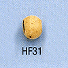 tn-hf31.gif