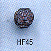 tn-hf45.gif