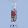 tn-ms10.gif