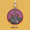 tn-ms19.gif
