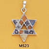 tn-ms23.gif