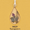 tn-ms29.gif