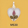 tn-ms30.gif