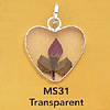 tn-ms31.gif