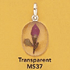 tn-ms37.gif