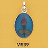 tn-ms39.gif