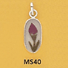tn-ms40.gif