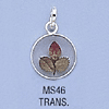 tn-ms46.gif