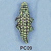 tn-pc09.gif