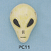tn-pc11.gif