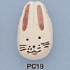 tn-pc19.gif