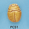 tn-pc51.gif