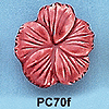 tn-pc70f.gif