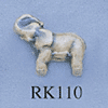 tn-rk110.gif