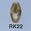 tn-rk22.gif