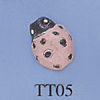 tn-tt05.gif