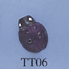 tn-tt06.gif