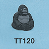 tn-tt120.gif