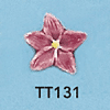 tn-tt131.gif