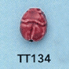 tn-tt134.gif