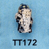 tn-tt172.gif
