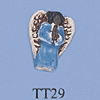 tn-tt29.gif