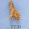 tn-tt30.gif
