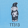 tn-tt313.gif