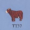 tn-tt37.gif