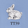 tn-tt39.gif