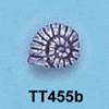 tn-tt455b.gif