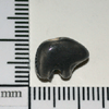tn-tt545.gif
