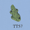 tn-tt57.gif
