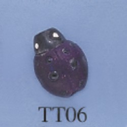 tt06.jpg