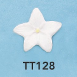 tt128.jpg