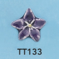 tt133.jpg