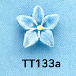 tt133a.jpg