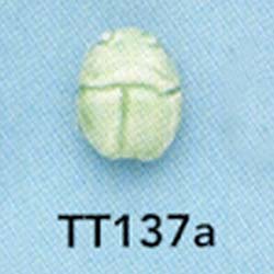 tt137a.jpg