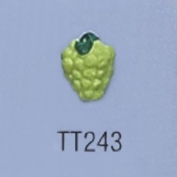 tt243.jpg