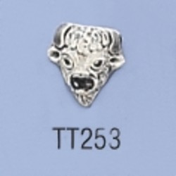tt253.jpg