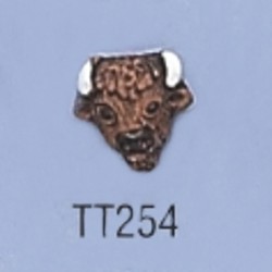 tt254.jpg