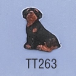 tt263.jpg