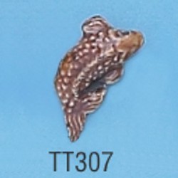 tt307.jpg