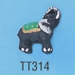 tt314.jpg