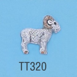 tt320.jpg