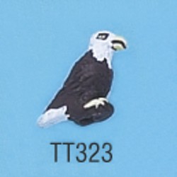 tt323.jpg