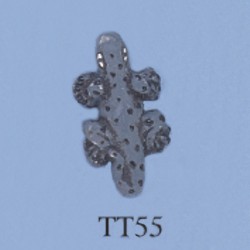 tt55.jpg