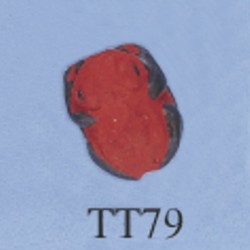 tt79.jpg