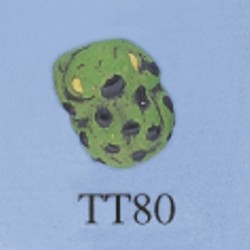 tt80.jpg